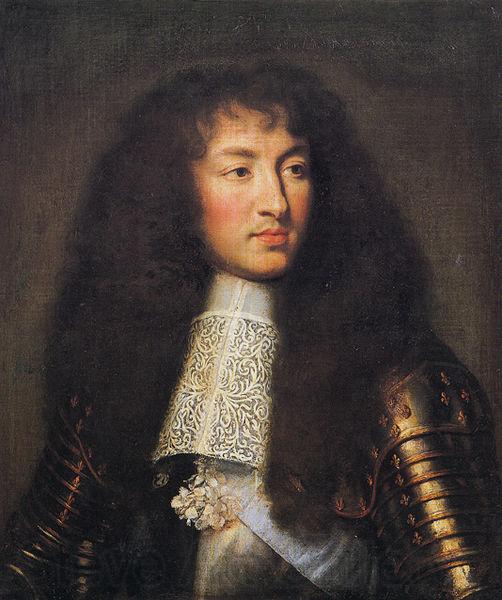 Charles le Brun Portrait of Louis XIV Norge oil painting art